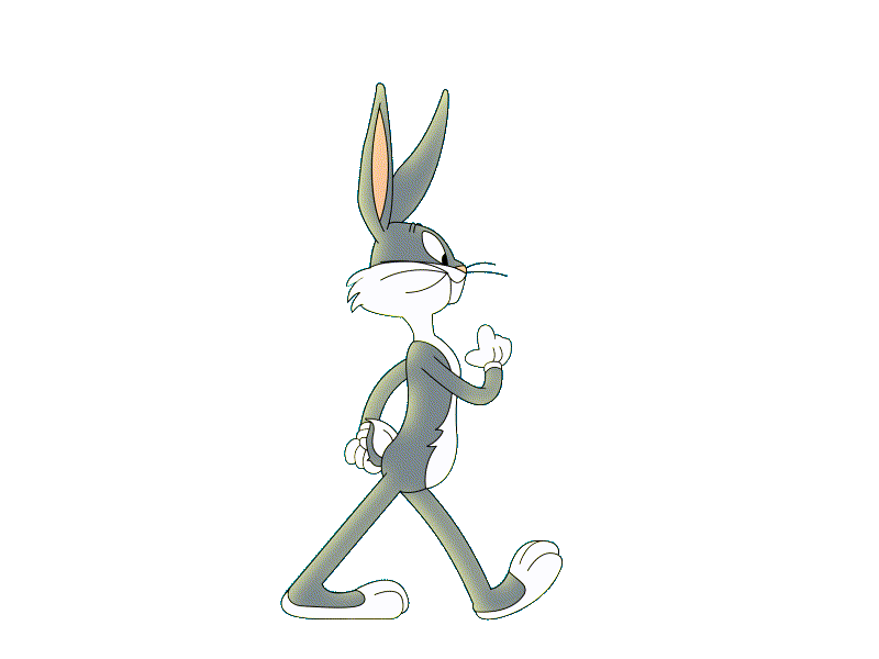 Conejo