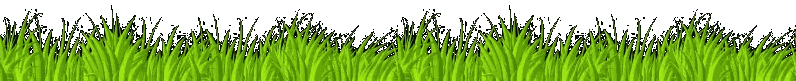 Sendero